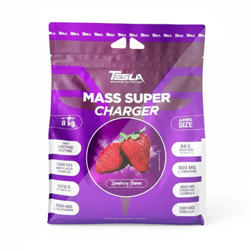 Tesla Mass Super Charger 8kg